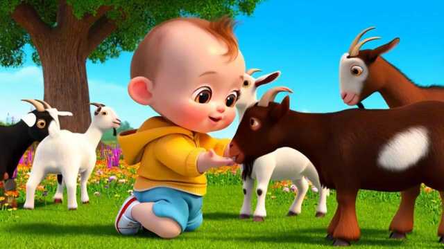 Playtime Video: Little One and Goats