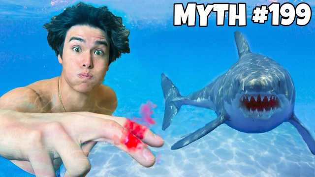 Kids Video: Chase from the Sharks